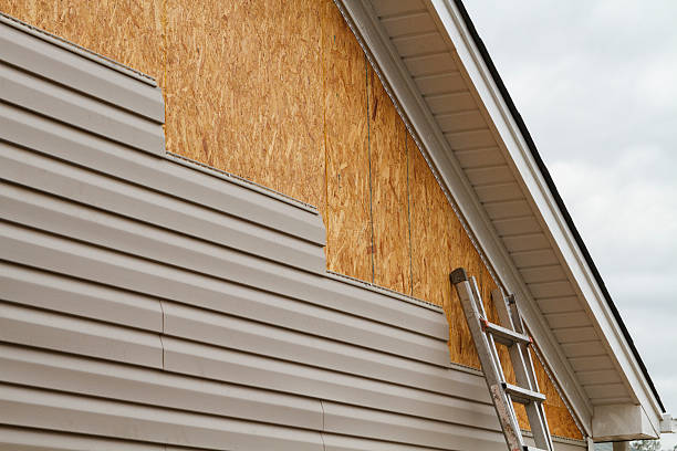 Professional Wood Siding technician working in Preston, TX